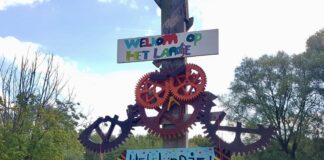 Pony’s met pensioen: inzamelingsactie Het Landje