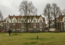 Dit zijn de vijf mogelijke namen voor het park in Houthaven