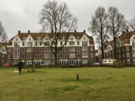 Dit zijn de vijf mogelijke namen voor het park in Houthaven