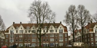 Dit zijn de vijf mogelijke namen voor het park in Houthaven