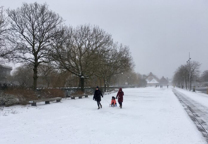 Westerpark sneeuw