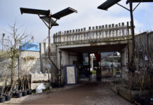 Fruittuin van West is klaar voor zadenruilbeurs Reclaim the Seeds