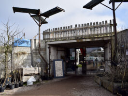 Fruittuin van West is klaar voor zadenruilbeurs Reclaim the Seeds