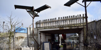 Fruittuin van West is klaar voor zadenruilbeurs Reclaim the Seeds