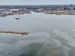 Grote olievlek in IJ bij Pontsteiger