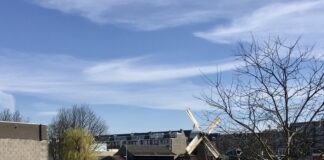 Molen De Otter kan blijven draaien, ook na woningbouw Food Center