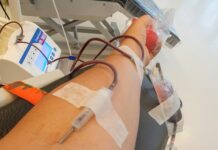 Bloedbank Sanquin bouwt groot laboratorium