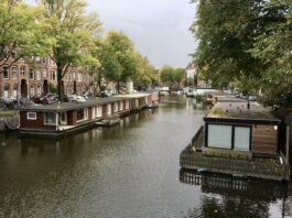 Buurtbewoners maken bezwaar tegen kap bomen Da Costakade