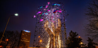 Hart onder de riem voor festivalmakers