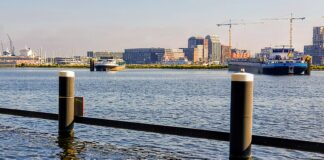 Strekdam achter Pontsteiger wordt losloopgebied voor honden