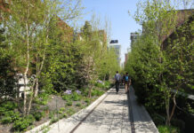 ‘Parkeerdak Marktkwartier moet groene ‘Highline’ worden’