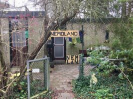 Nemoland in Westerpark mag toch blijven