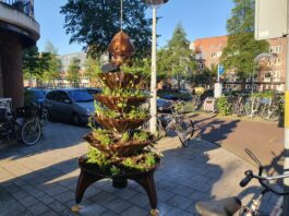 ‘Bijentotem’ op de Admiralengracht moet feest worden voor de Klokjesbij