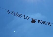 Monumentje voor ‘I like to move it’-Robbie