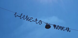 Monumentje voor ‘I like to move it’-Robbie