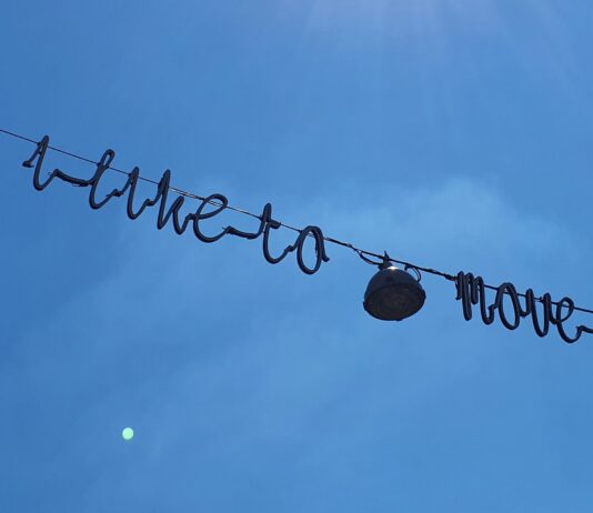 Monumentje voor ‘I like to move it’-Robbie