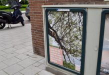 ‘Tegen dochter zeggen we: pas op, tegen zoon niets’