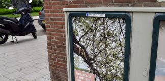 ‘Tegen dochter zeggen we: pas op, tegen zoon niets’