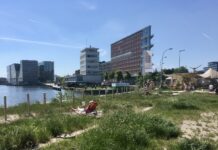 Zonaanbidders en zwemmers moeten inschikken voor zwaluw