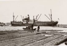 Drijvende boomstammen in Houthaven