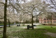 Actie tegen overlast drank en drugs in het Westerpark