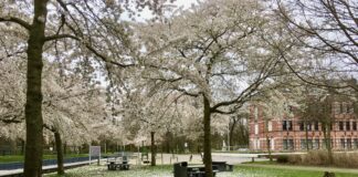 Actie tegen overlast drank en drugs in het Westerpark