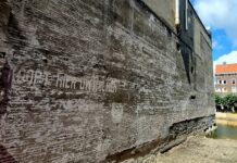 In de jaren 30 kon je een palm kopen in de Jan Evertsenstraat