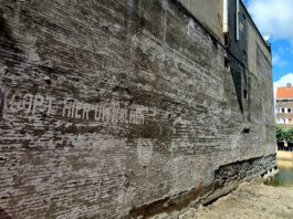 In de jaren 30 kon je een palm kopen in de Jan Evertsenstraat