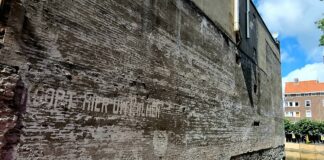 In de jaren 30 kon je een palm kopen in de Jan Evertsenstraat