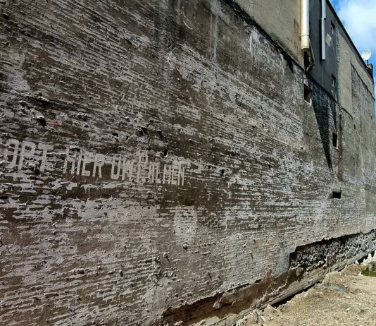 In de jaren 30 kon je een palm kopen in de Jan Evertsenstraat