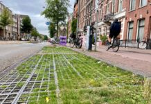 Groene parkeervakken doen het prima