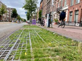 Groene parkeervakken doen het prima