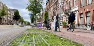 Groene parkeervakken doen het prima