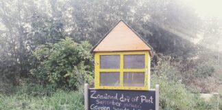 Zaaizaad ‘swappen’ bij stadsboerderij KasKantine