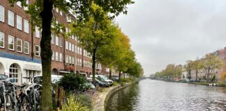 Bomen weg voor kadeherstel Baarsjesweg