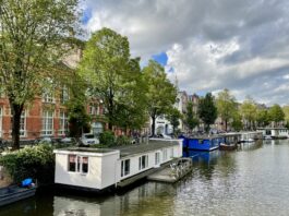 Kap dreigt voor bomen Da Costakade, of toch niet?