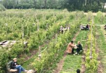 De Groene Helden van (Nieuw-)West