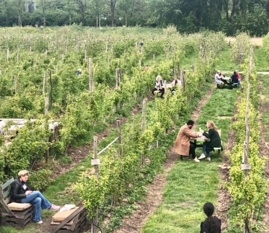 De Groene Helden van (Nieuw-)West