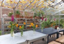 Splinternieuw theehuisje in Fruittuin van Moerkerken