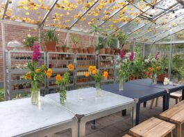 Splinternieuw theehuisje in Fruittuin van Moerkerken