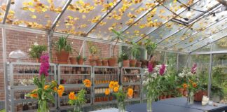 Splinternieuw theehuisje in Fruittuin van Moerkerken