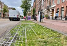 ‘Maak groene parkeervakken de nieuwe standaard’