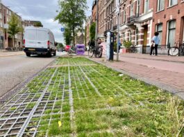 ‘Maak groene parkeervakken de nieuwe standaard’