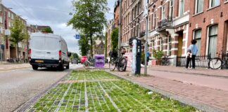 ‘Maak groene parkeervakken de nieuwe standaard’