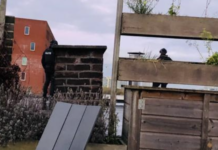 Klopjacht(je) op dak aan de Haarlemmerweg