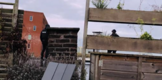 Klopjacht(je) op dak aan de Haarlemmerweg