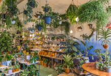 Volop groene cadeaus bij Wildernis