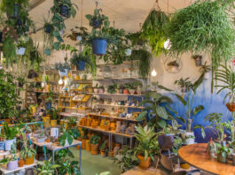 Volop groene cadeaus bij Wildernis