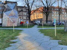 Reflectie-wandeling in Houthavenpark
