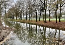 Nieuwe natuur langs sportpark op Sloterdijk
